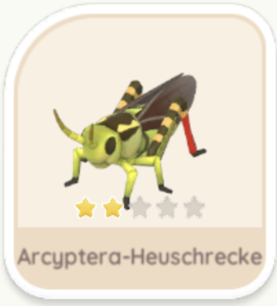 Arcyptera-Heuschrecke