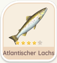 Atlantischer Lachs