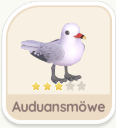 Auduansmöwe