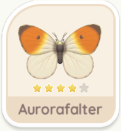 Aurorafalter