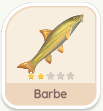 Barbe