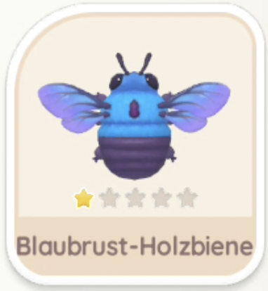 Blaubrust-Holzbiene