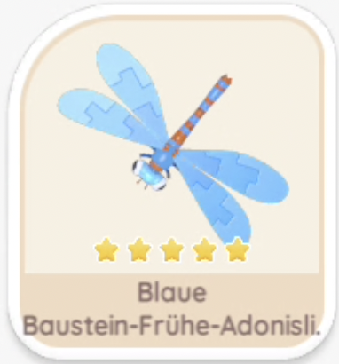 Blaue Baustein-Frühe-Adonislibelle