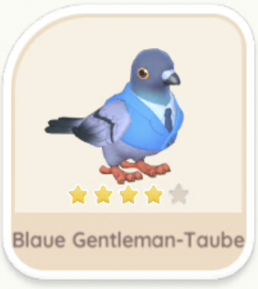Blaue Gentleman-Taube