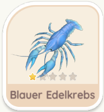 Blauer Edelkrebs