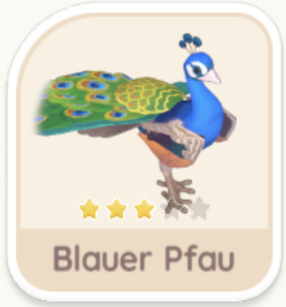 Blauer Pfau
