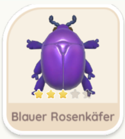 Blauer Rosenkäfer