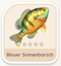Blauer Sonnenbarsch