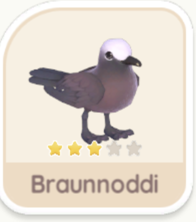 Braunnoddi