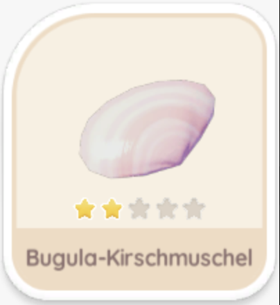 Bugula-Kirschmuschel
