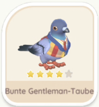 Bunte Gentleman-Taube