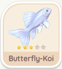 Butterfly-Koi