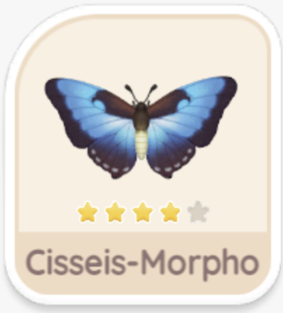 Cisseis-Morpho