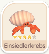 Einsiedlerkrebs