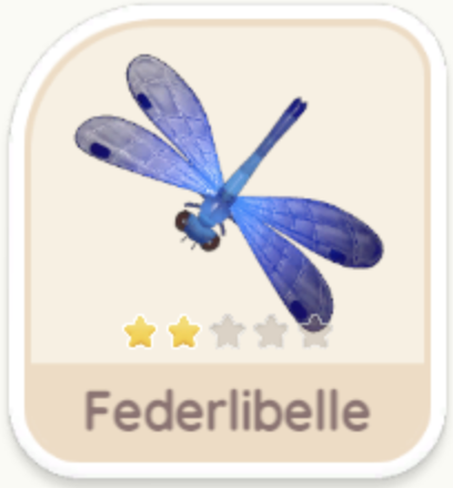 Federlibelle