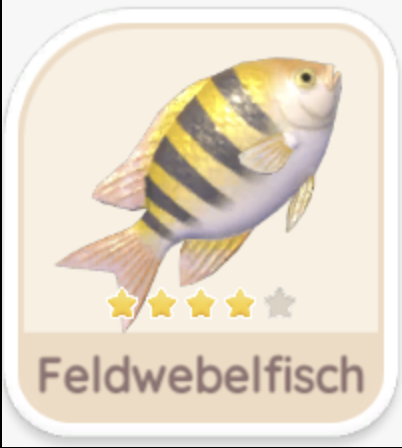 Feldwebelfisch