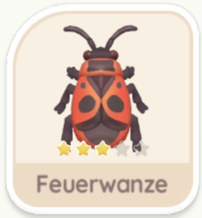 Feuerwanze