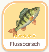 Flussbarsch