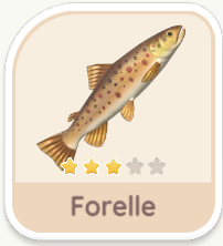 Forelle