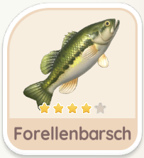 Forellenbarsch
