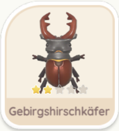Gebirgshirschkäfer