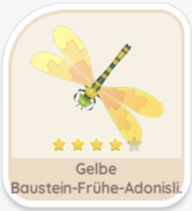 Gelbe Baustein-Frühe-Adonislibelle