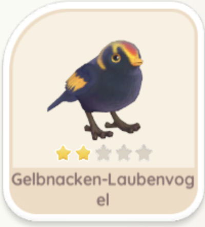 Gelbnacken-Laubenvogel