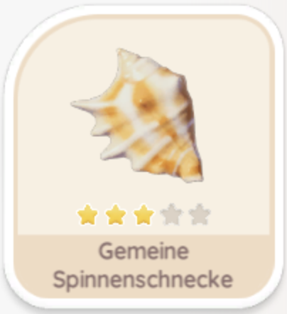 Gemeine Spinnenschnecke