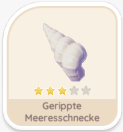 Gerippte Meeresschnecke