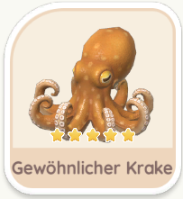 Gewöhnlicher Krake