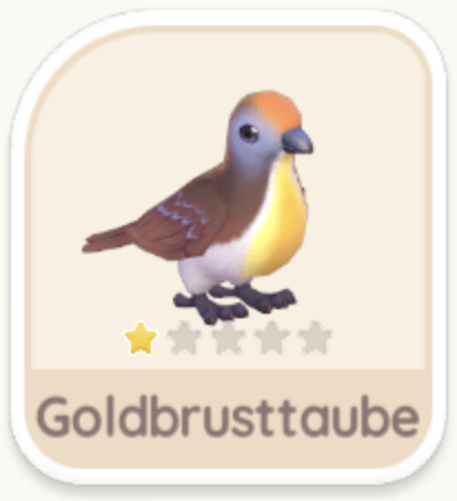 Goldbrusttaube