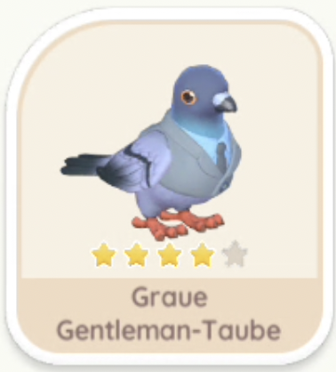 Graue Gentleman-Taube