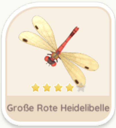 Große Rote Heidelibelle
