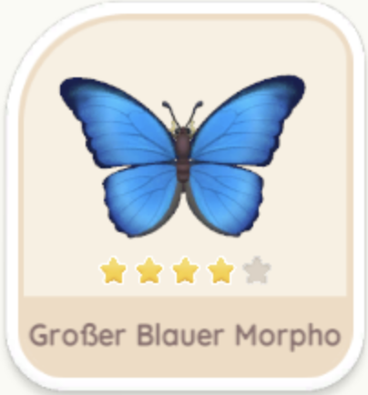 Großer Blauer Morpho
