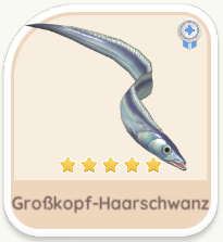 Großkopf-Haarschwanz