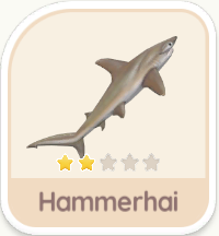 Hammerhai