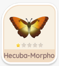 Hecuba-Morpho