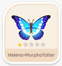 Helena-Morphofalter