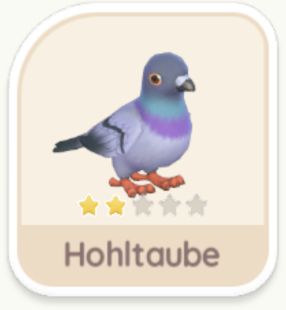 Hohltaube