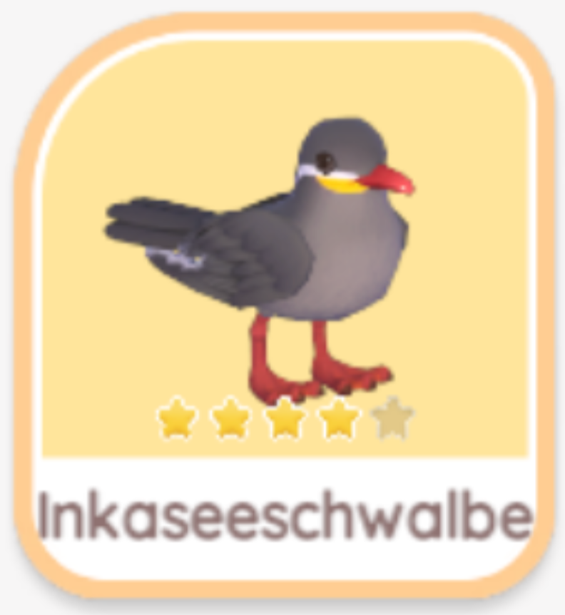 Inkaseeschwalbe
