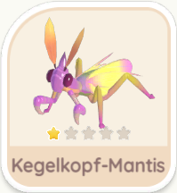 Kegelkopf-Mantis