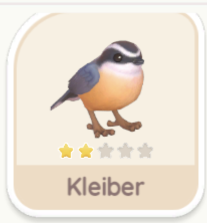 Kleiber