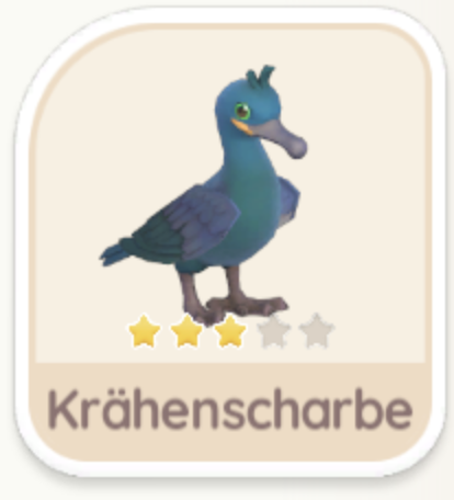 Krähenscharbe