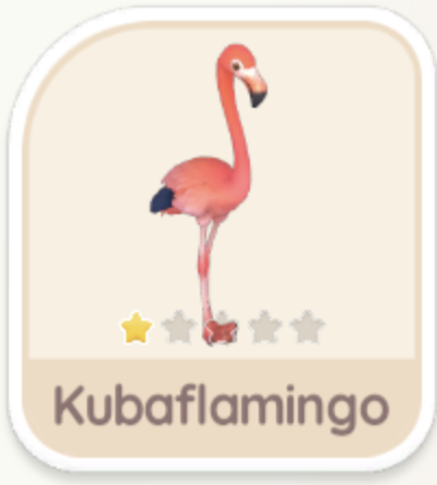 Kubaflamingo