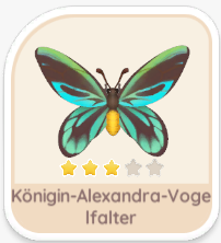 Königin-Alexandra-Vogelfalter