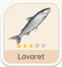 Lavaret