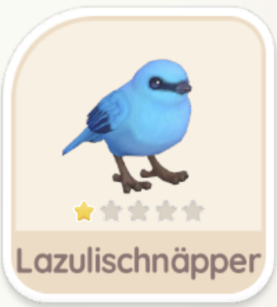 Lazulischnäpper