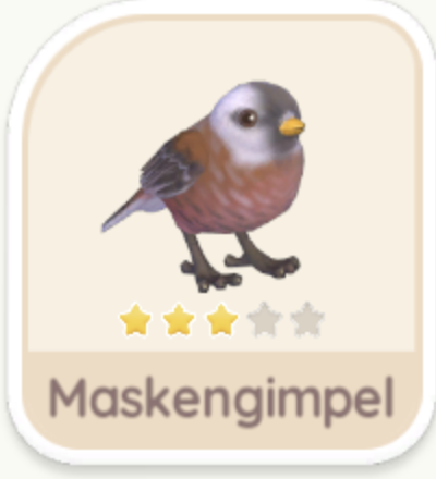 Maskengimpel