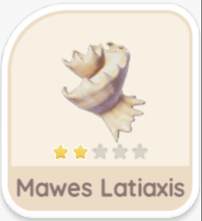 Mawes Latiaxis