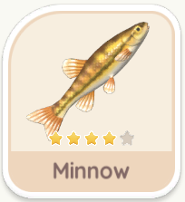 Minnow